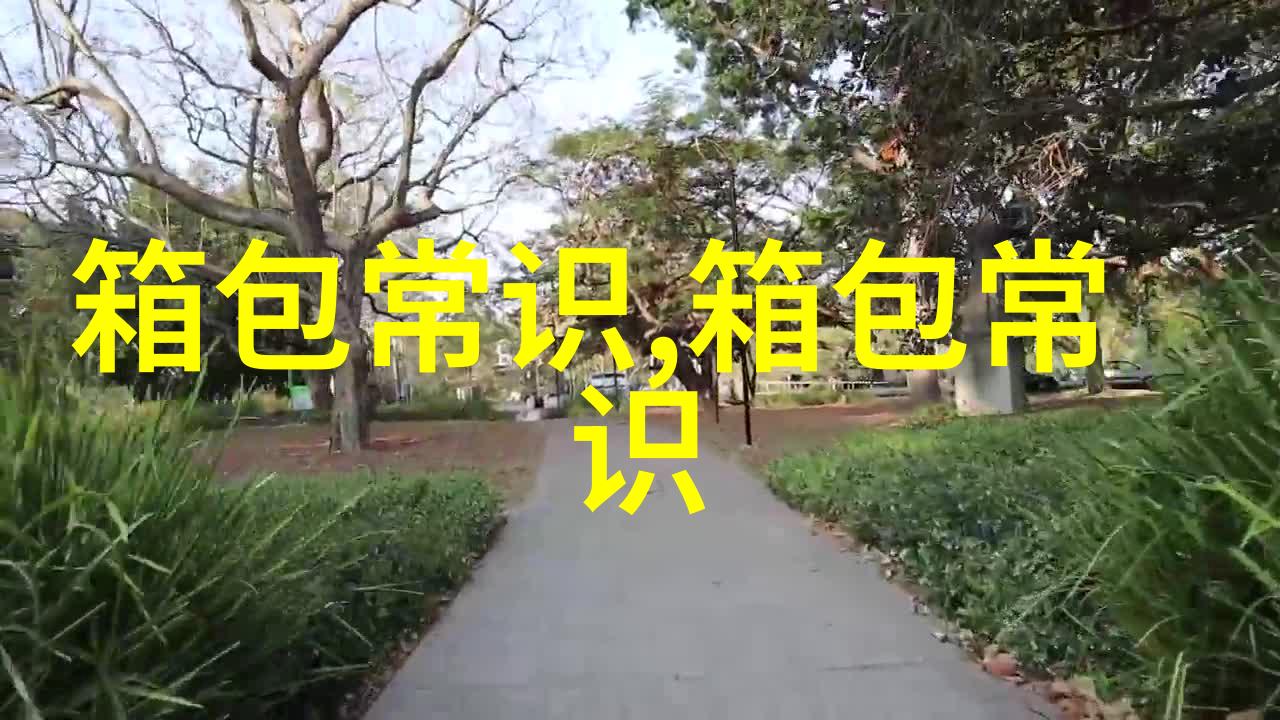 探索时尚界的新宠Blade女包的魅力与实用性