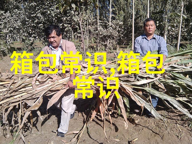 风格与奢华并存深入了解Halston女包的魅力