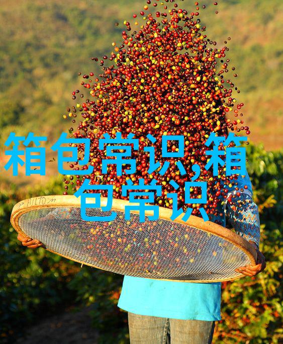 探索优雅与实用Voyager女包的魅力与选择指南