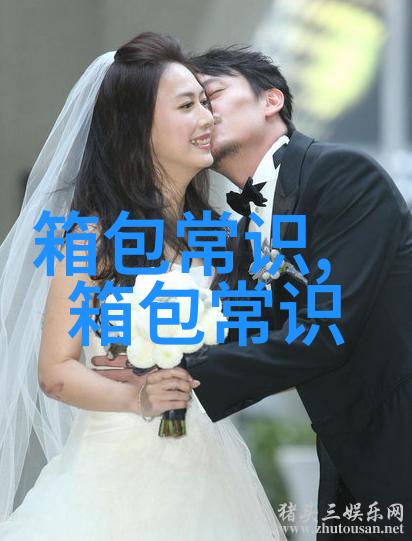 独特风格与高质量深入了解Verci女包的魅力