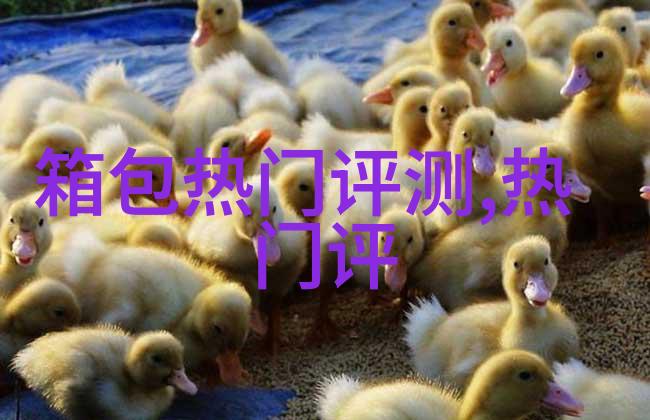 施华洛世奇的项链是什么做的