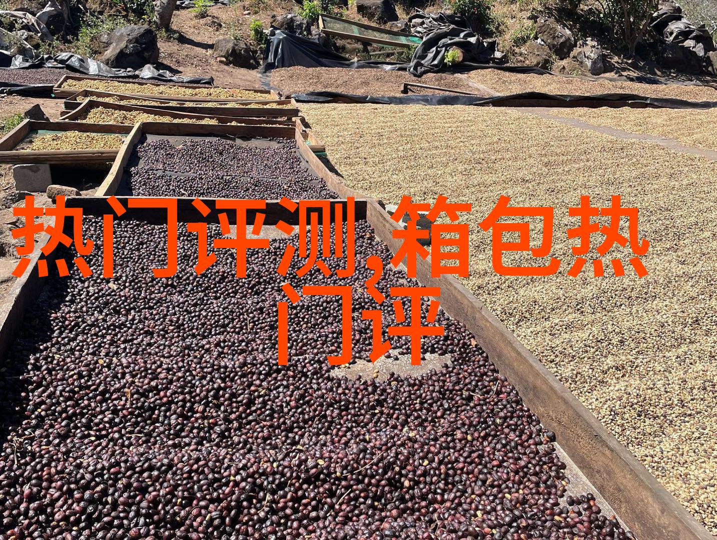 通灵的博物馆系列的钻戒怎么样