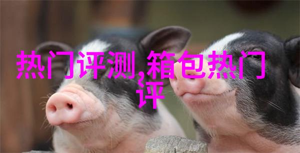 如何识别施华洛世奇水晶手链真伪