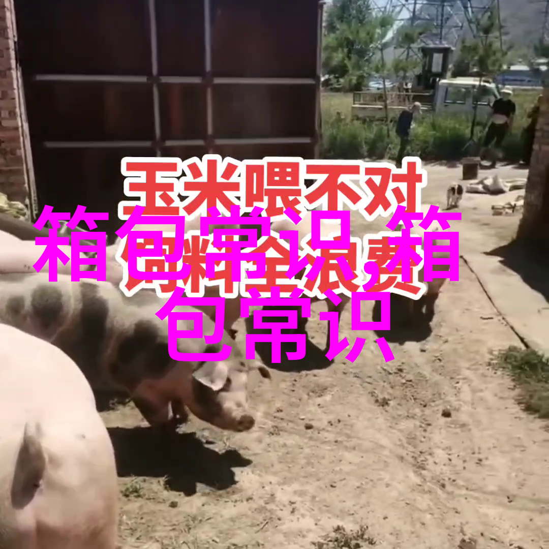 优雅与实用兼具的女包电商攻略