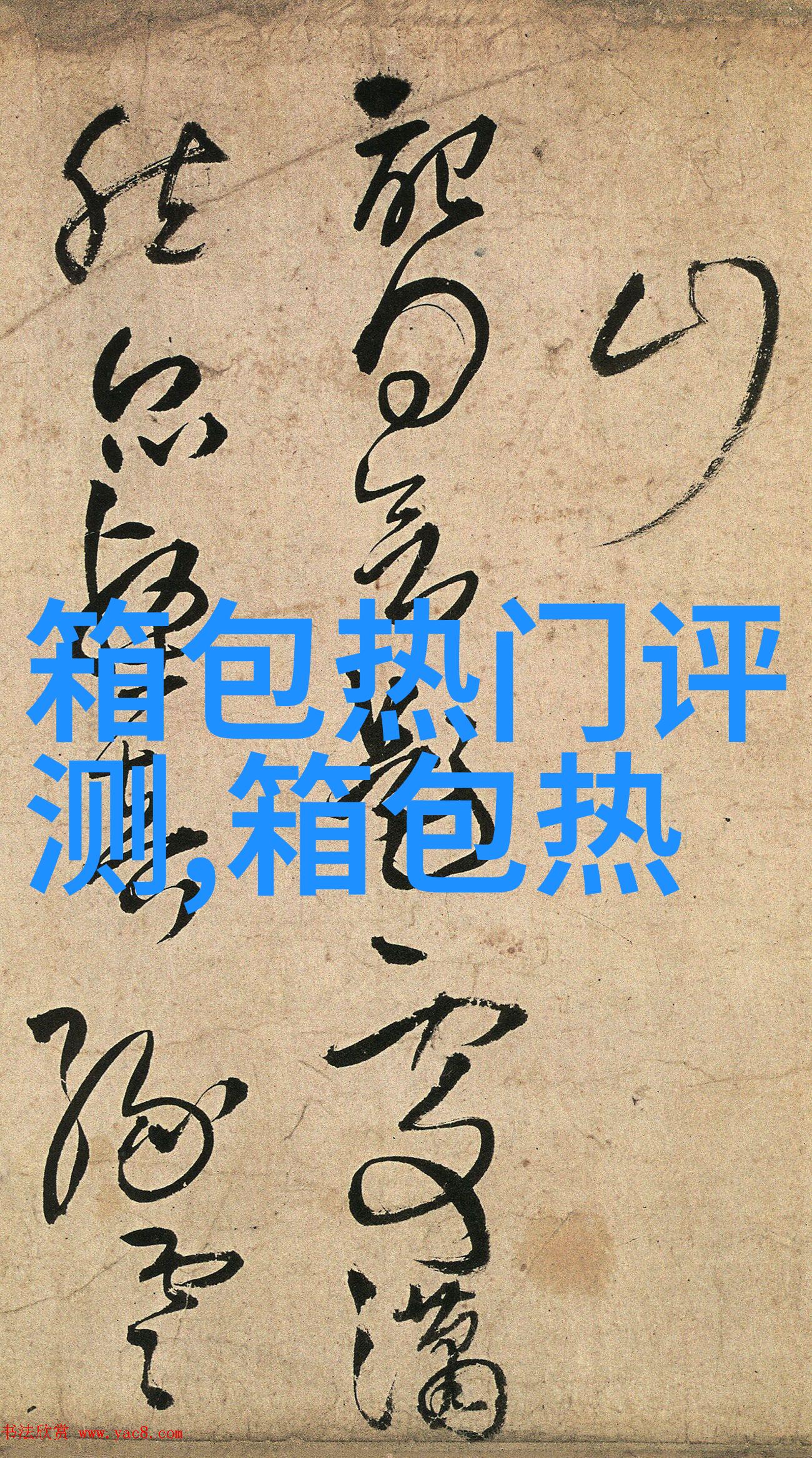 香奈儿包包CFmini黑色荔枝牛皮A69900在上海价格是