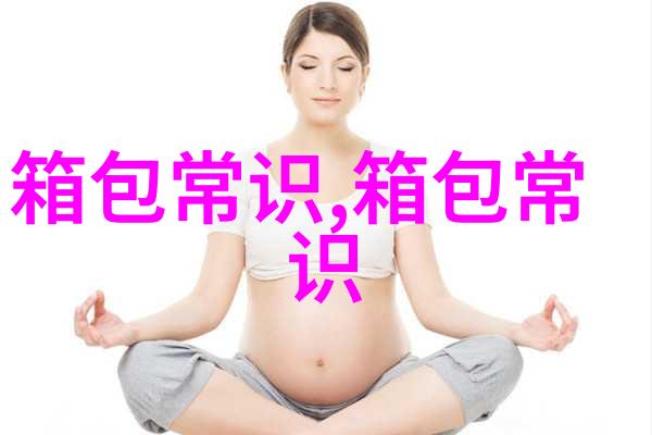 时尚与功能兼具深入了解DTMON女包的魅力