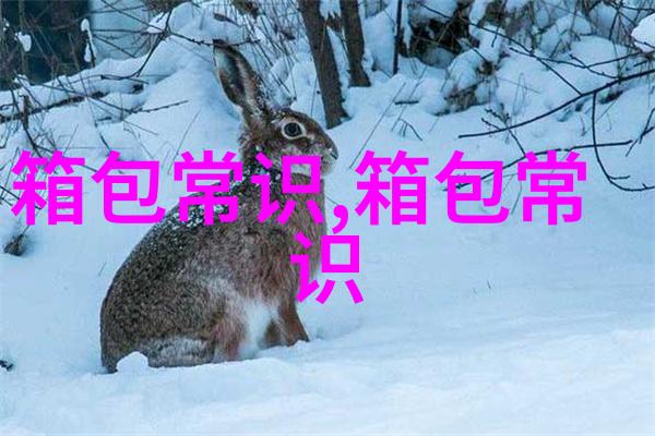 探究Miaodie女包时尚潮流与品质的完美结合