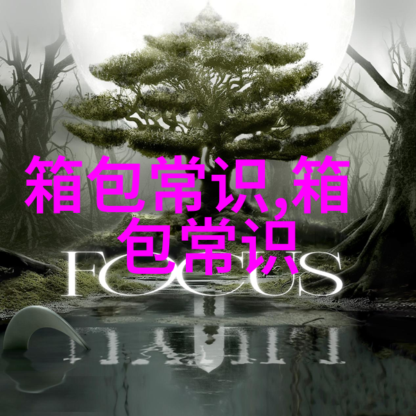 魅惑与力量并存的暗黑女包时尚与个性的完美结合