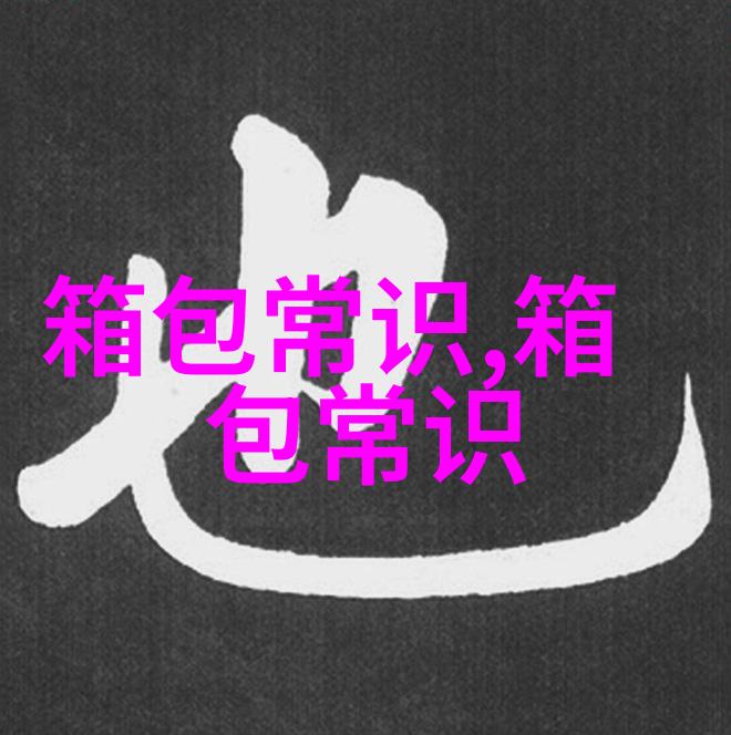 Dior Bobby 女包优雅与时尚的完美融合