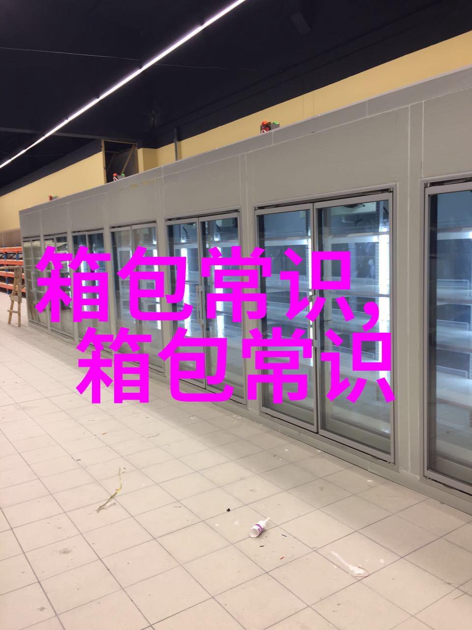 探索MGDS女包的时尚魅力与潮流趋势